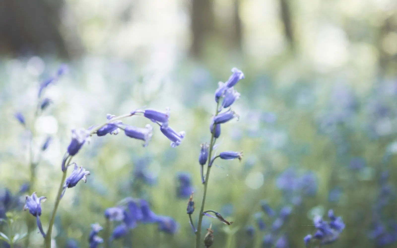 3 Ways to Practice Self-Love in Your Recovery Journey Today