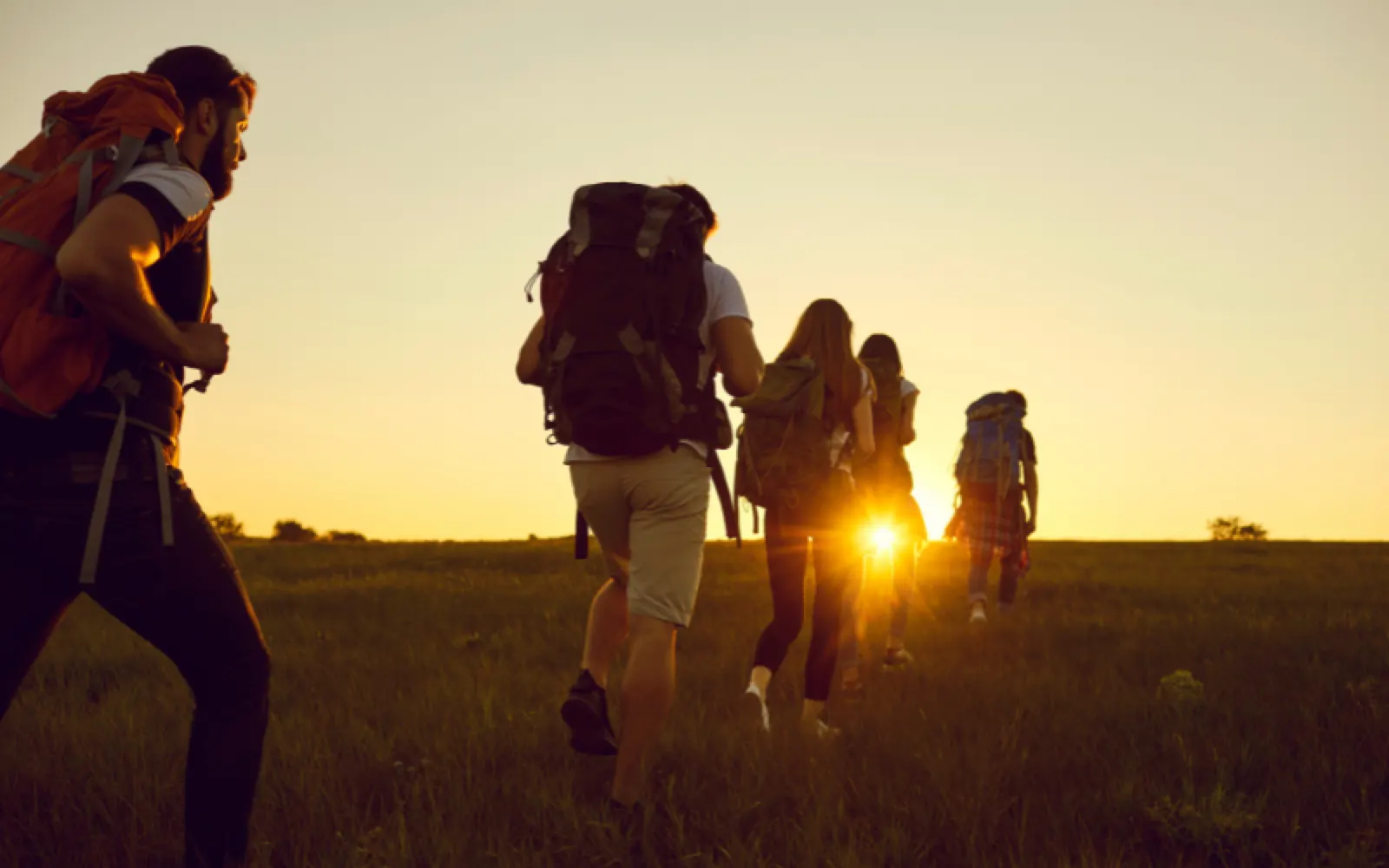 Finding Recovery: Your Unique Path Forged in Collective Strength