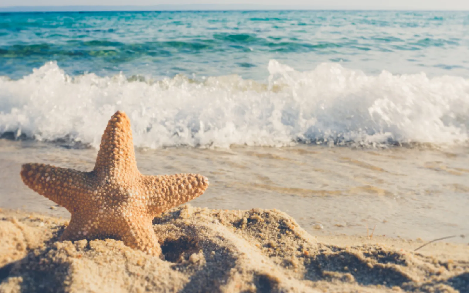 Navigating Your First Sober Spring Break? 3 Tips for New Recovery!
