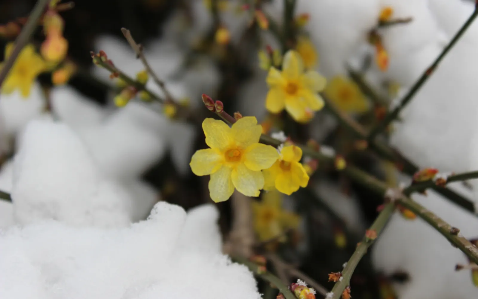 Growth in Recovery: Why Patience and Perseverance Matter