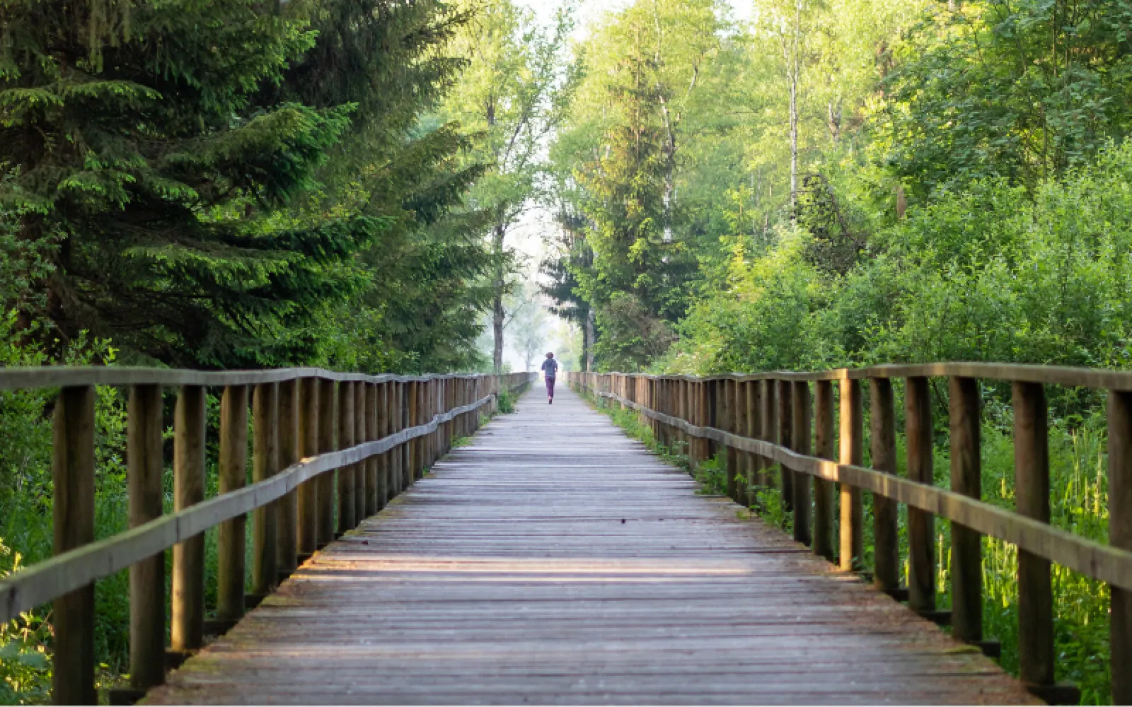 Mental Health Awareness: How Emotional Wellness Fuels Recovery