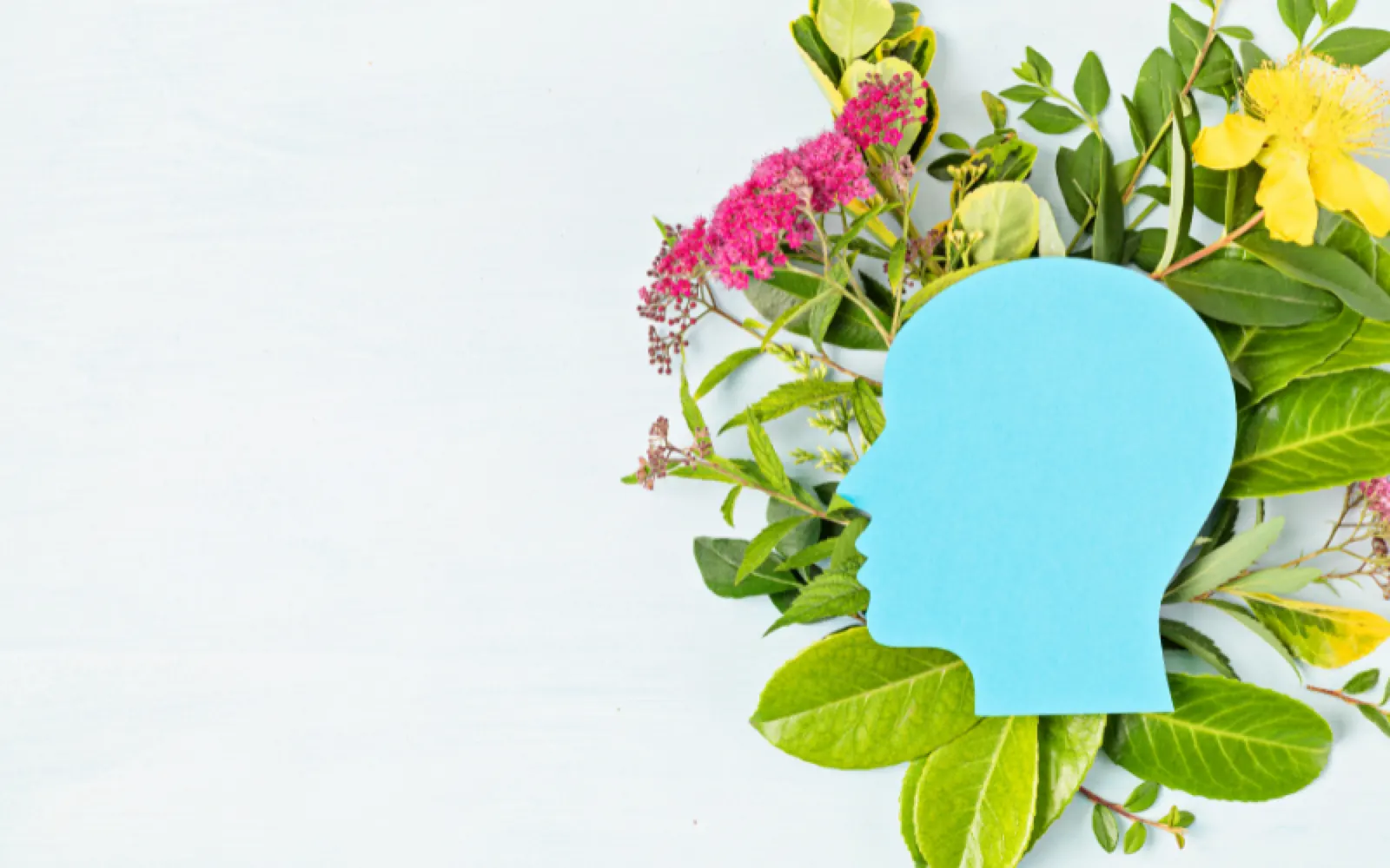 How Mental Health Plays a Vital Role in Successful Addiction Recovery