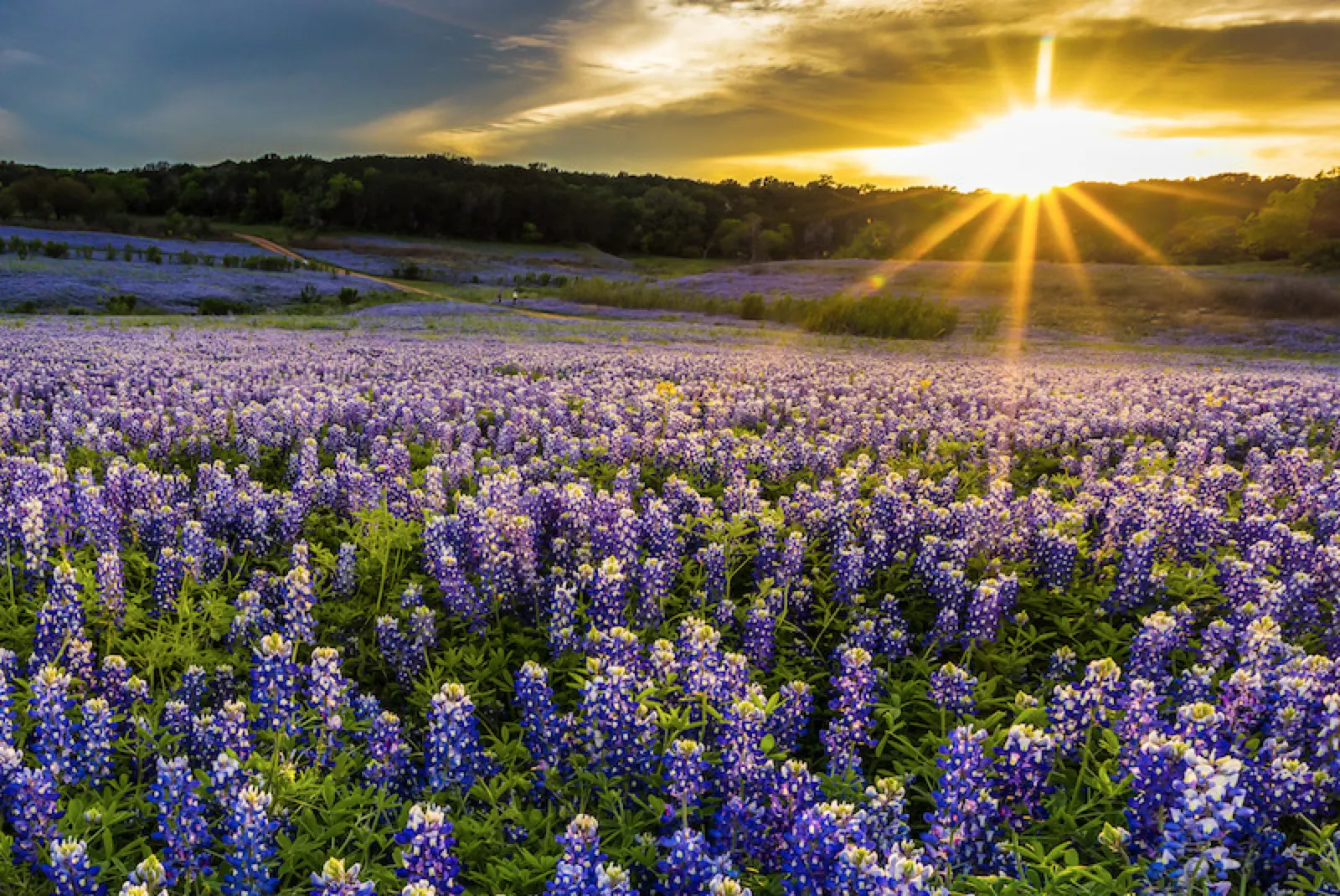 How Spring Motivates Us to Find Renewed Joy in Recovery