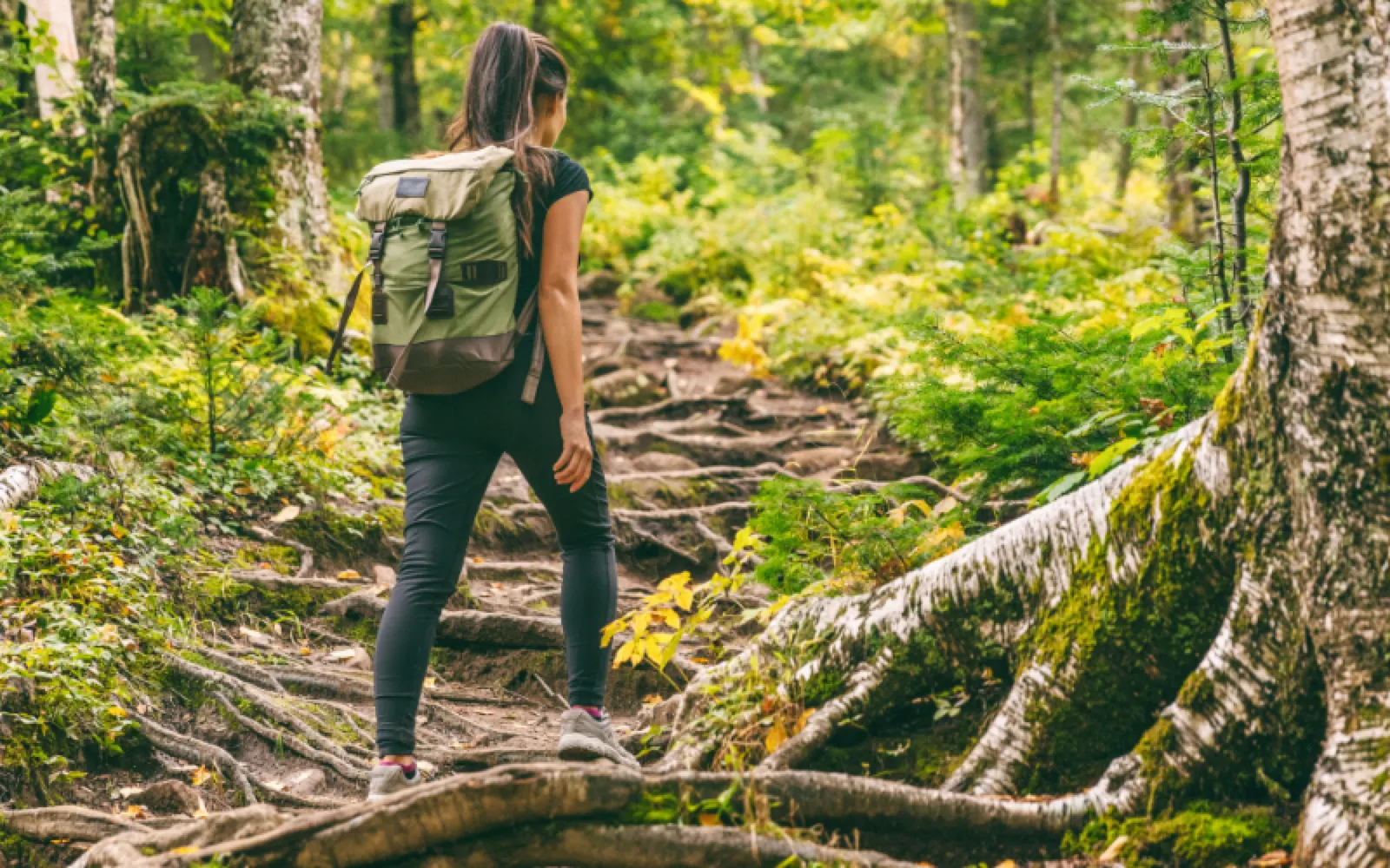 Progress Not Perfection: Seeking Recovery as a Daily Journey