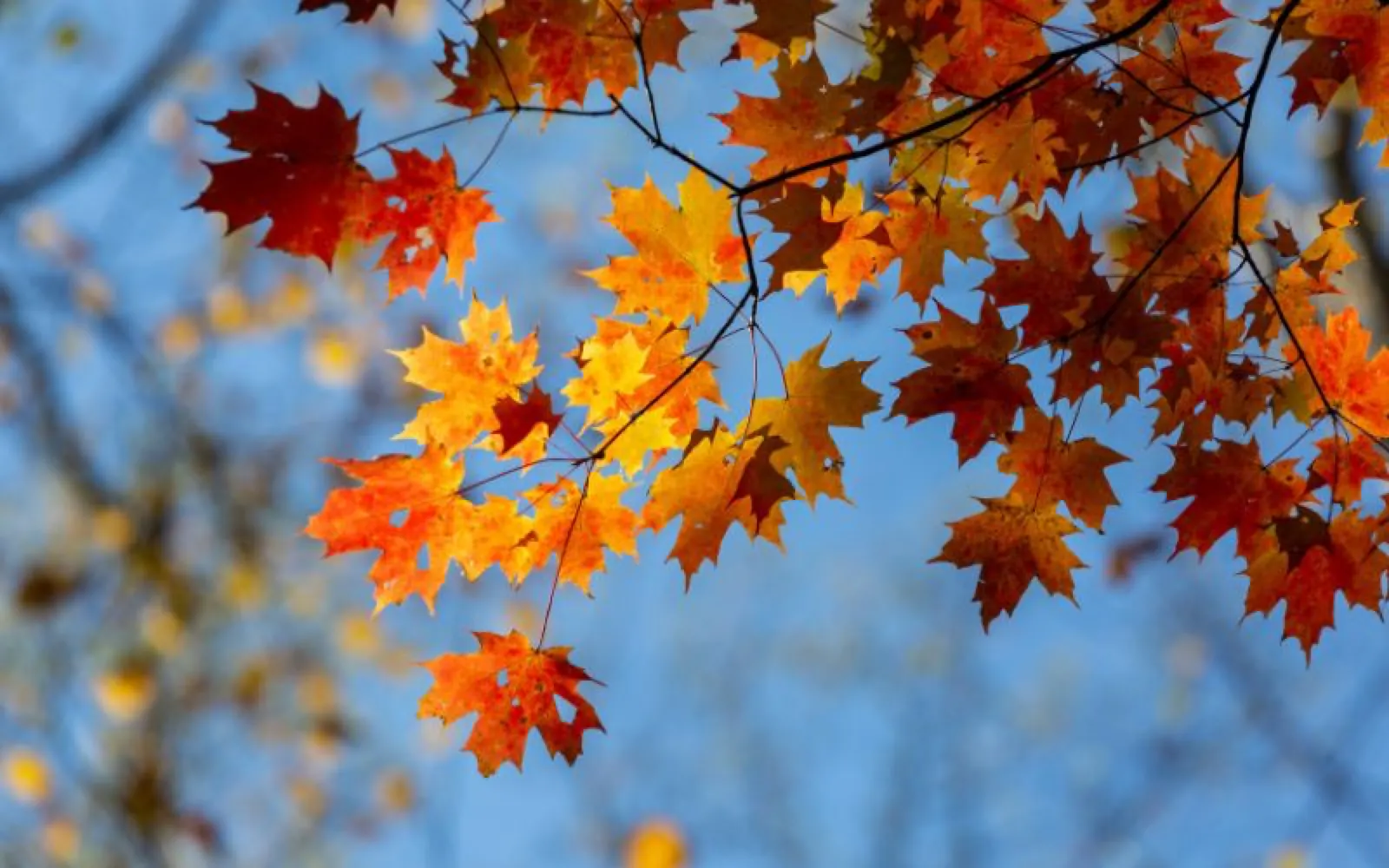 Why Sober October Is the Key to Finishing 2024 Strong