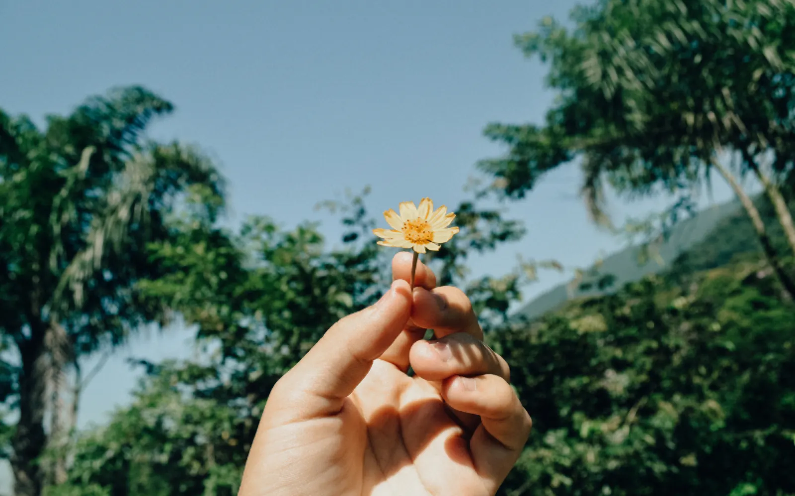 Sobriety and Recovery: The True Journey to Freedom