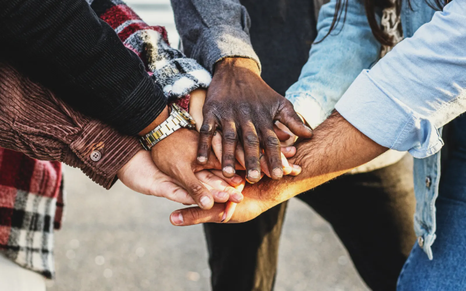 The Power of Connection and Love: The Antidote to Addiction